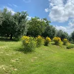 Bed & Breakfast Olea 4*