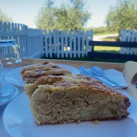 Olea Montecosaro (Marche)