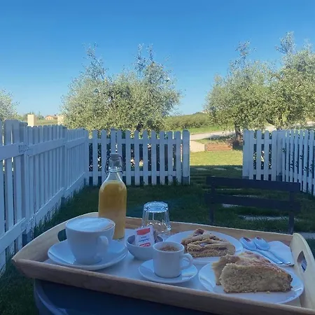 Olea Montecosaro (Marche)