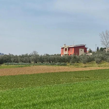 Olea Bed & Breakfast