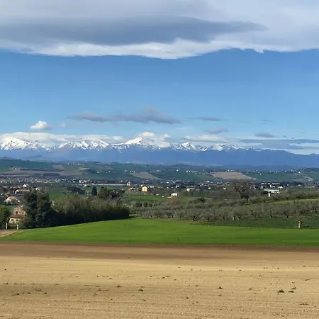 Olea Montecosaro (Marche)