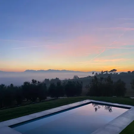 Olea Montecosaro (Marche)