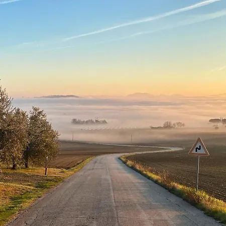 Olea Montecosaro (Marche)