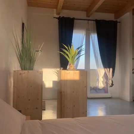 Olea B&B 몬테코사로