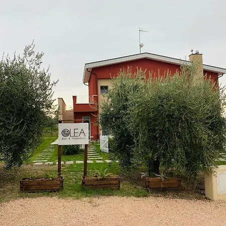 B&B Olea