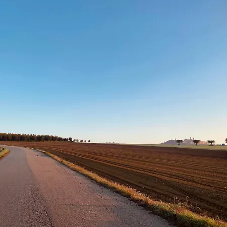 Bed & Breakfast Olea 4*