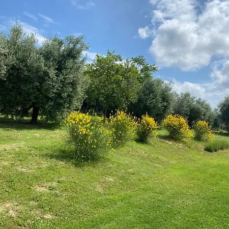 Couette-café Olea 4*