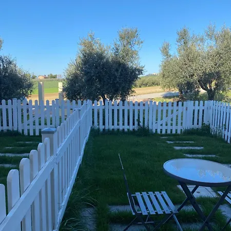 Bed & Breakfast Olea Montecosaro (Marche)