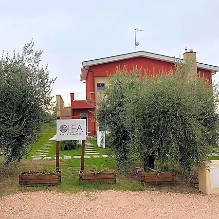 Olea Отель типа 