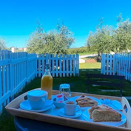 Olea 4* Montecosaro (Marche)