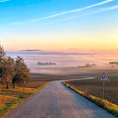 Olea Montecosaro (Marche)