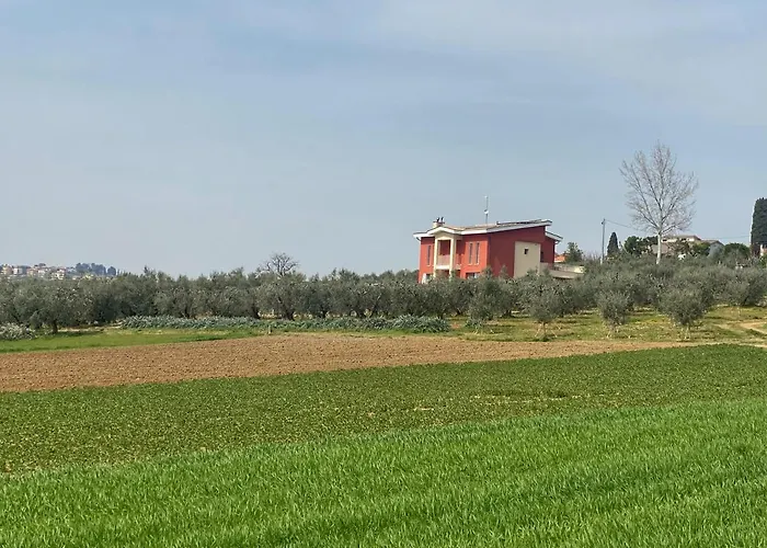 Olea Bed & Breakfast