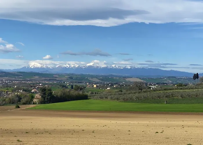 Olea Montecosaro (Marche)