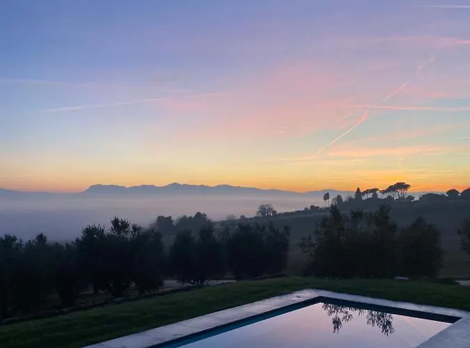 Olea Montecosaro (Marche)