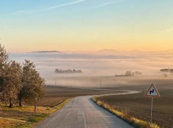Olea Montecosaro (Marche)