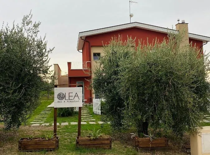 Bed & Breakfast Olea