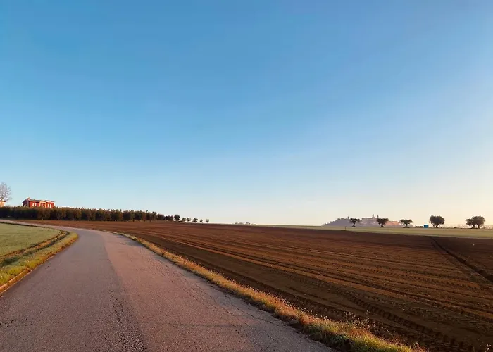 Bed & Breakfast Olea 4*